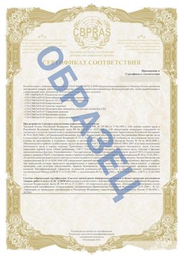 Образец Приложение к СТО 01.064.00220722.2-2020 Саров Сертификат СТО 01.064.00220722.2-2020 